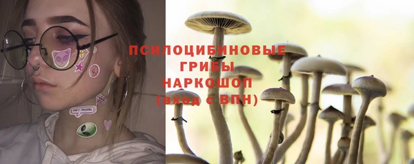 спиды Алзамай