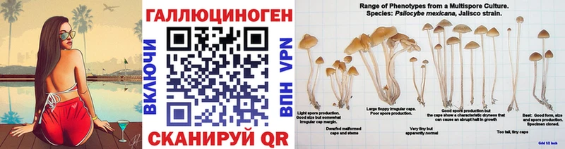 где найти   Анадырь  дарк нет наркотические препараты  Псилоцибиновые грибы мицелий 